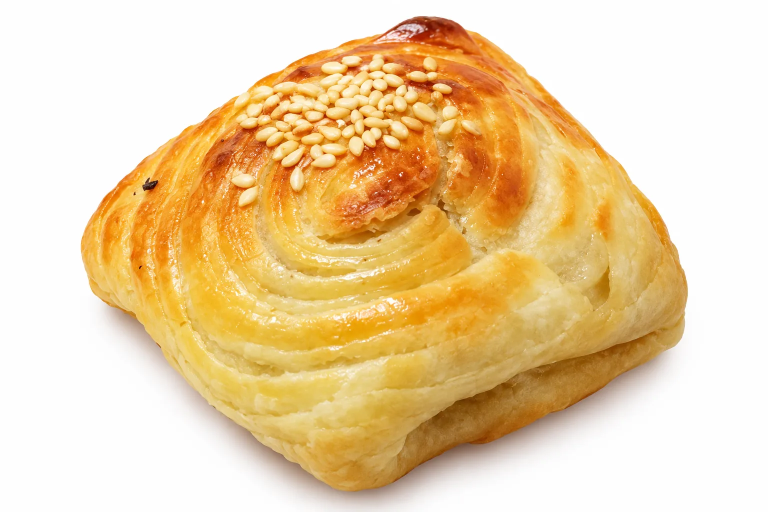 Chicken Samsa